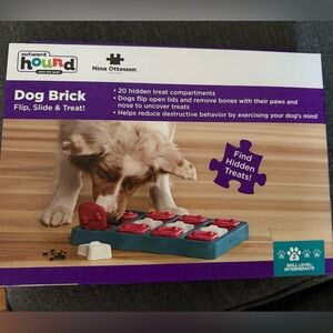 Outward Hound Dog Puzzle Toy Red and Blue